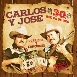 Cover of 30 Exitos de Oro