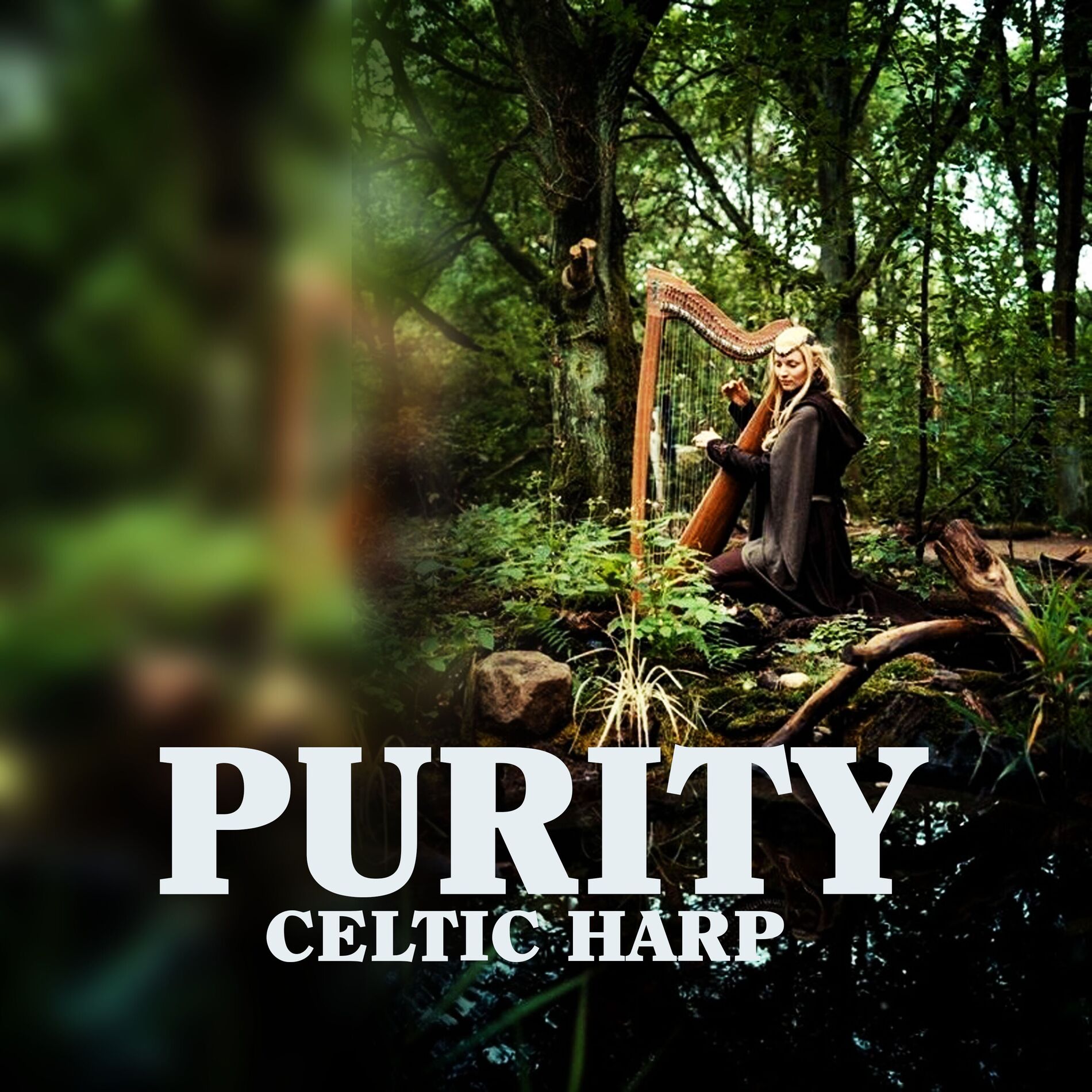 Album cover of Purity (Celtic Harp)