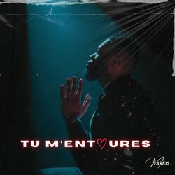 Cover of Tu m'entoures