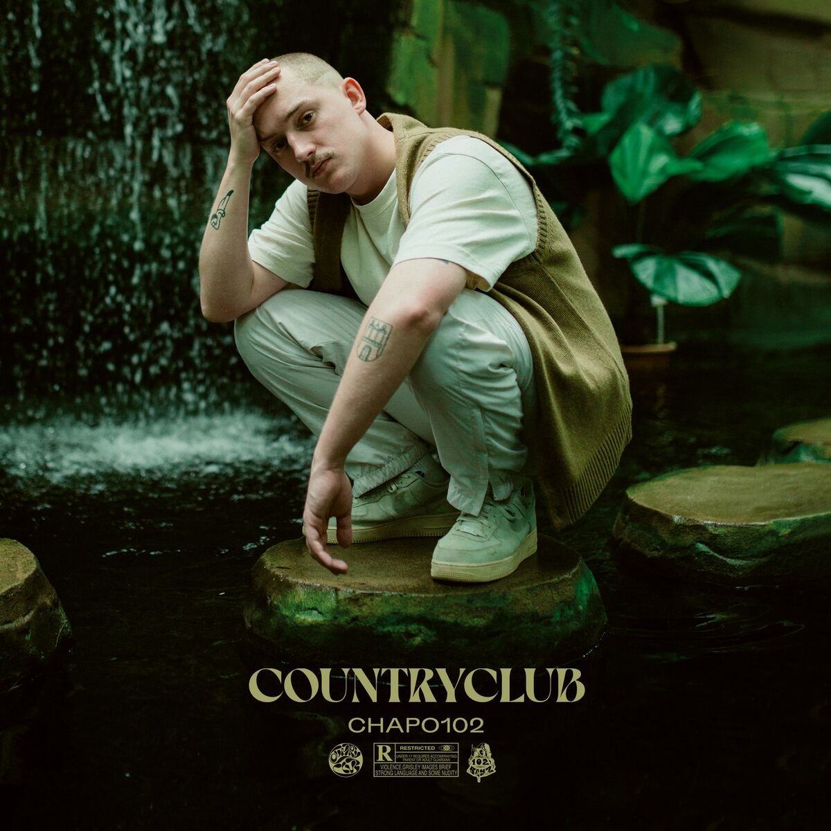 Album cover of FALLEN