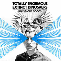 Cover of Household Goods