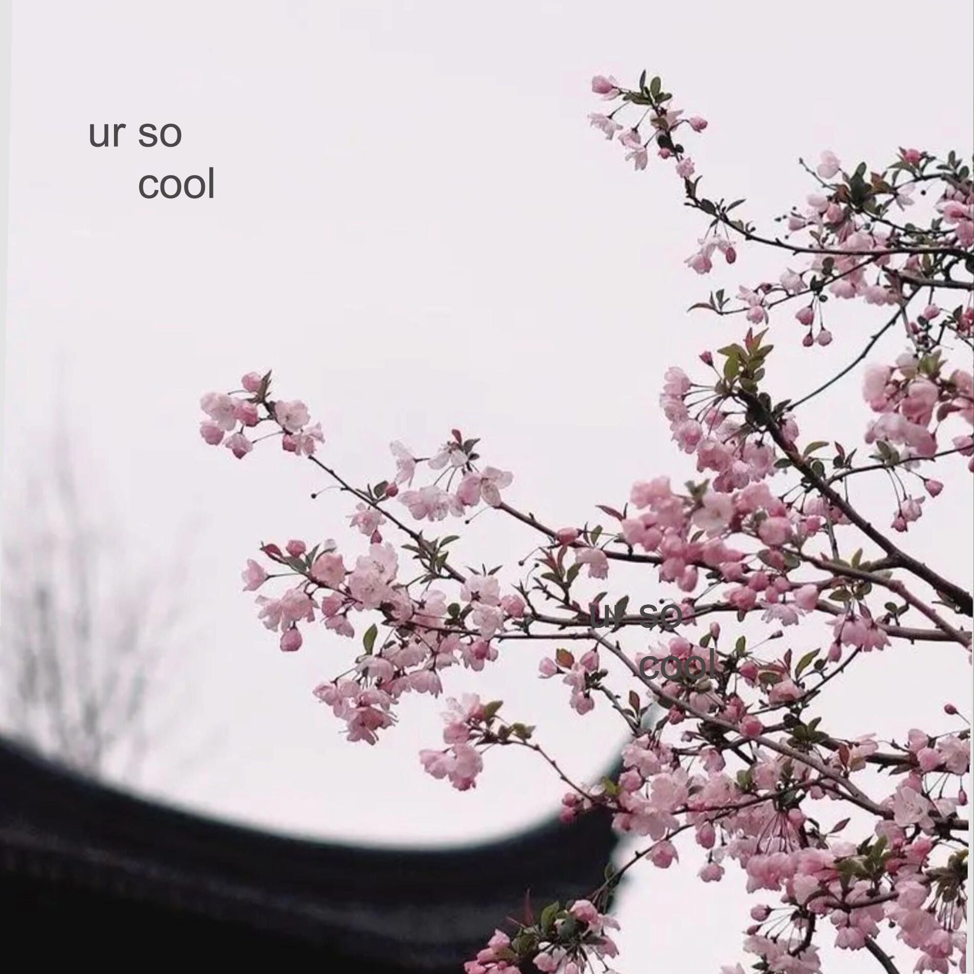 Album cover of ur so cool (feat. Deluxe & Promoting Sounds)