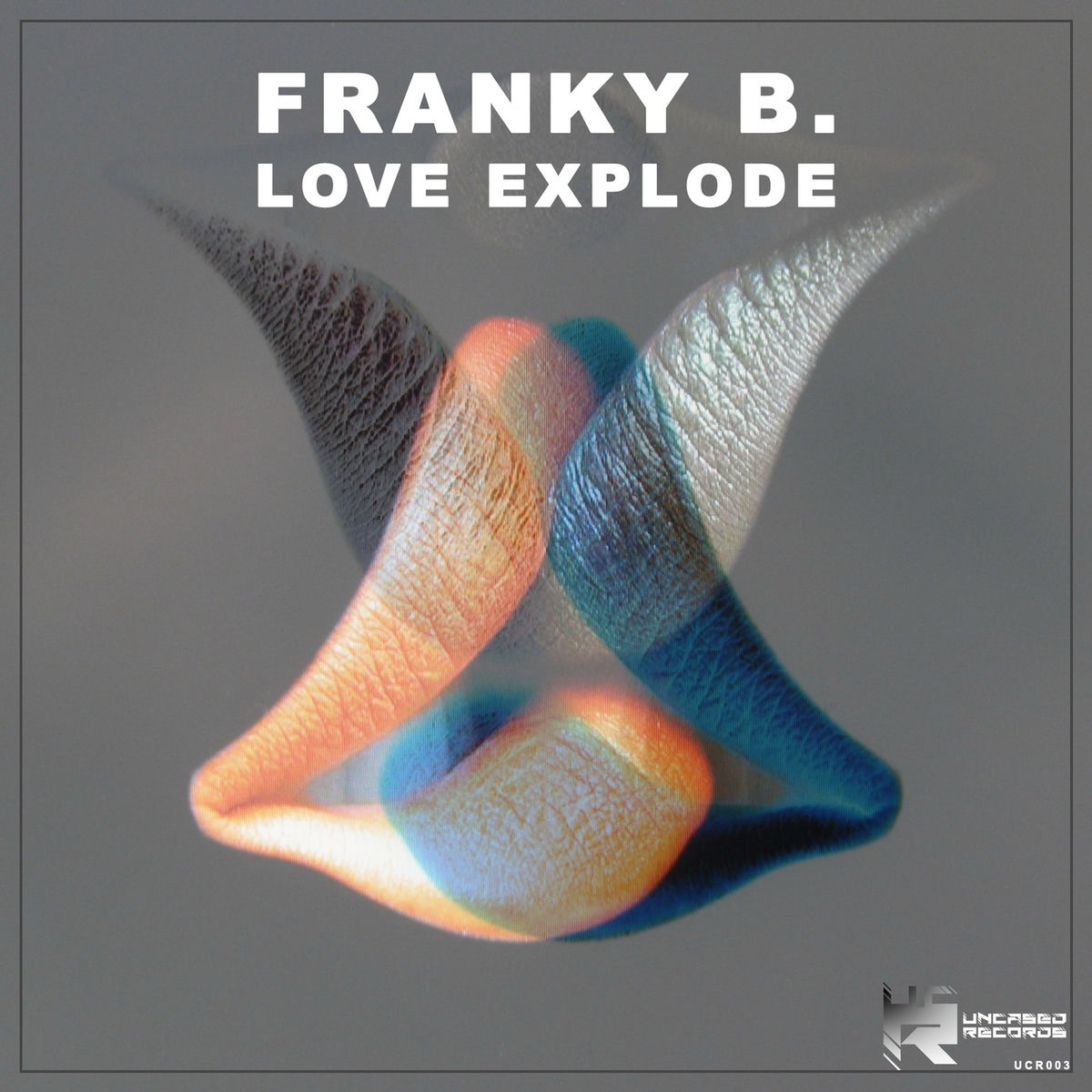 Album cover of Love Explode