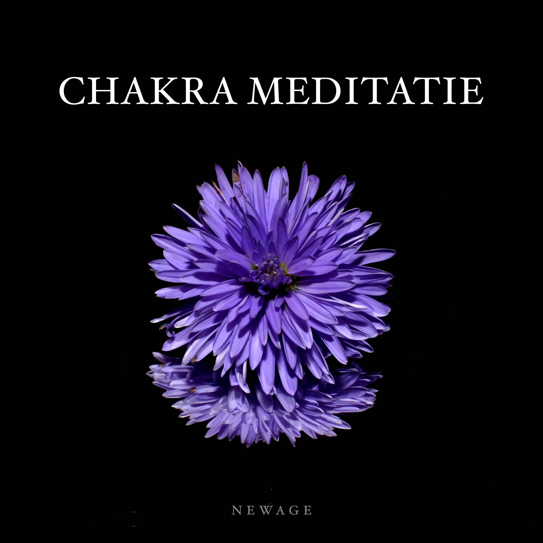 Album cover of Chakra Meditatie - Panfluit Muziek