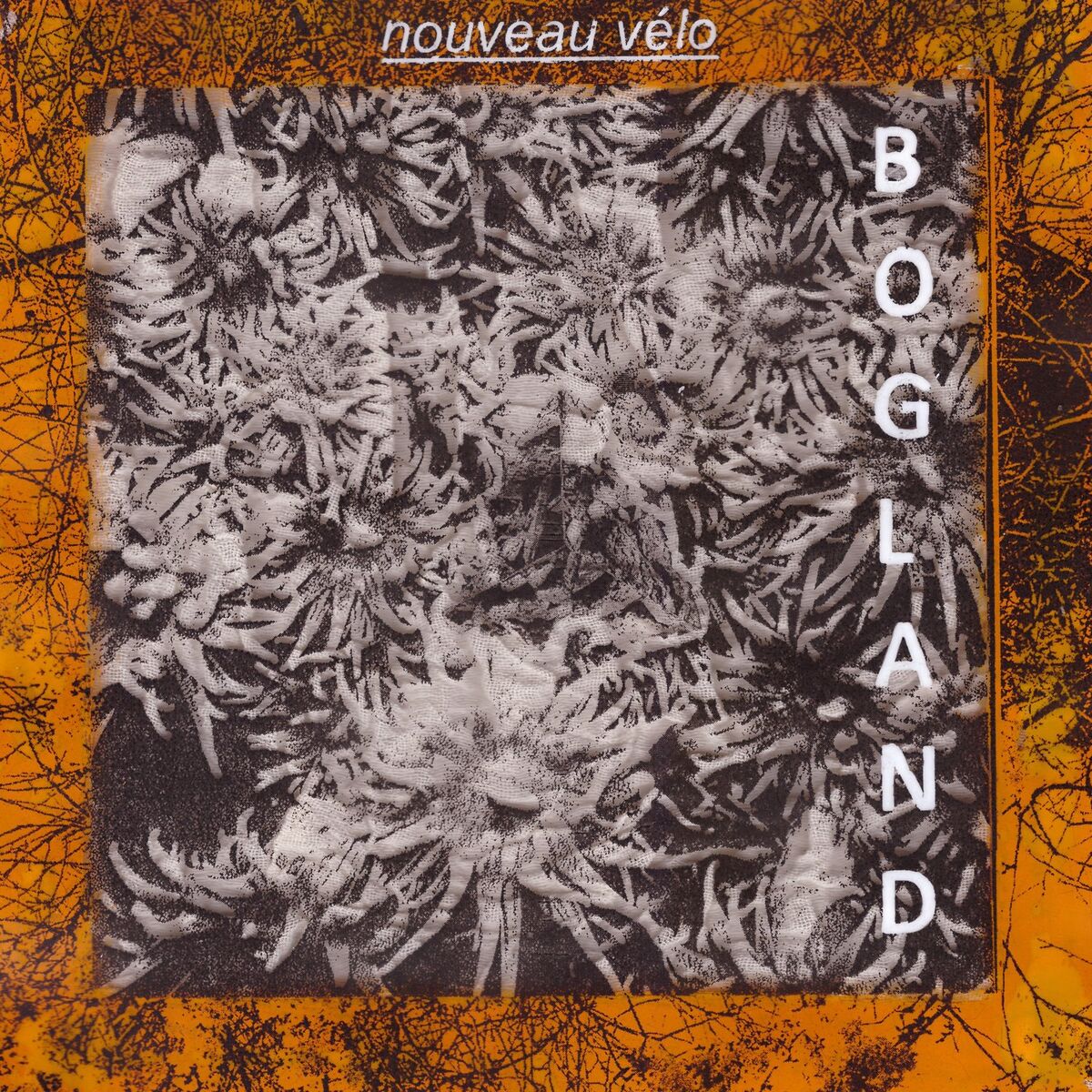 Album cover of Bogland