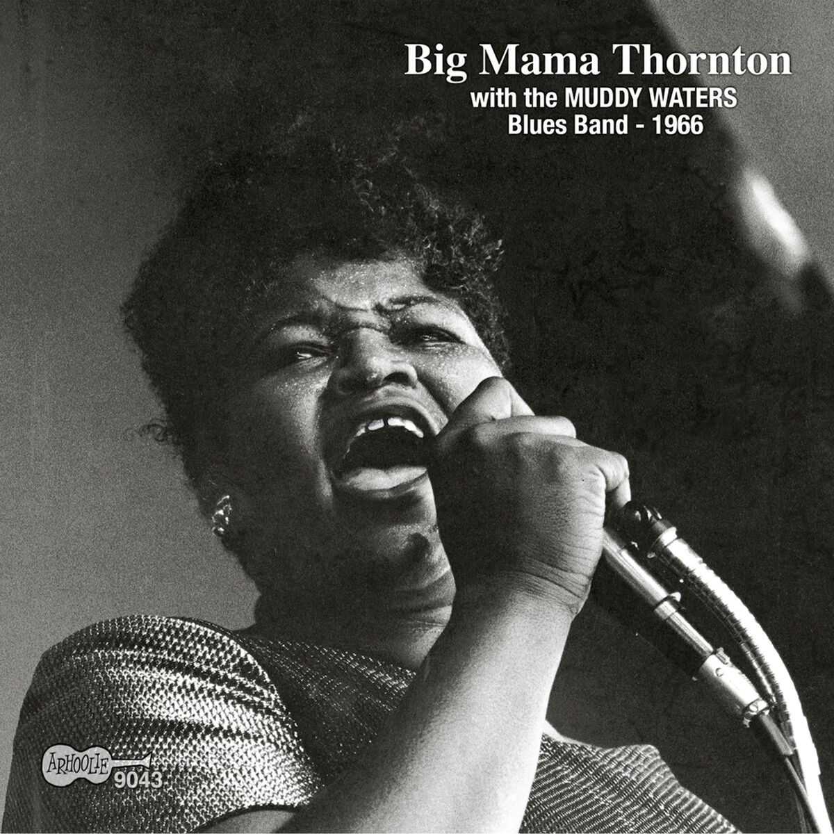 Album cover of Big Mama's Bumble Bee