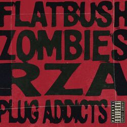 Cover of Plug Addicts