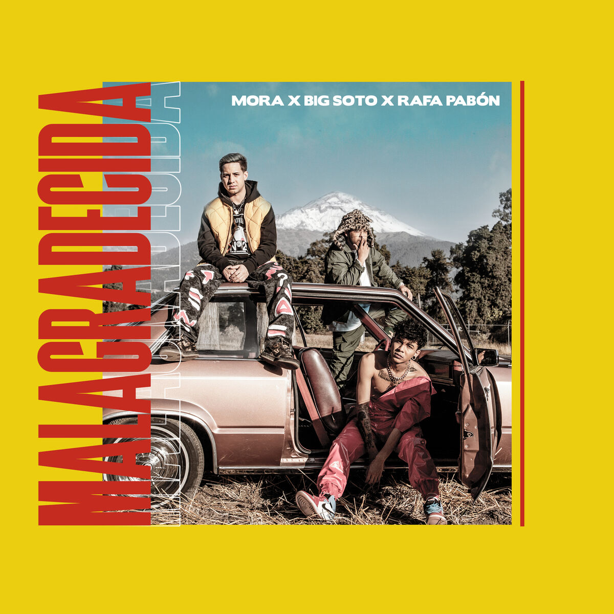 Album cover of Malagradecida