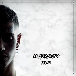 Cover of Lo Prohibido