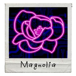 Cover of Magnolia