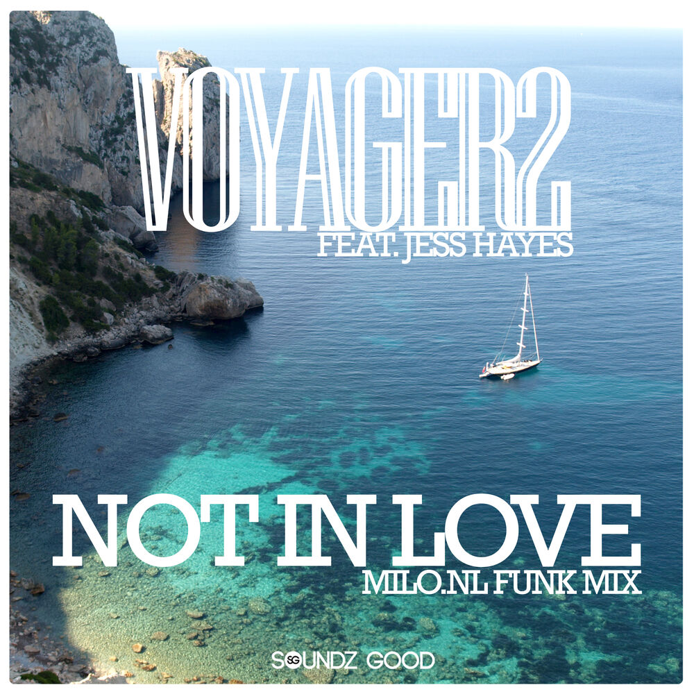 Picture of Not In Love (Milo.nl Funk Mix)