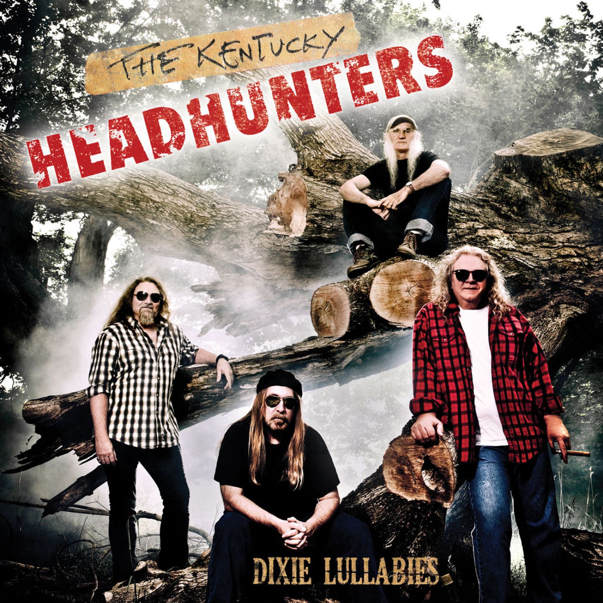 Album cover of Dixie Lullabies