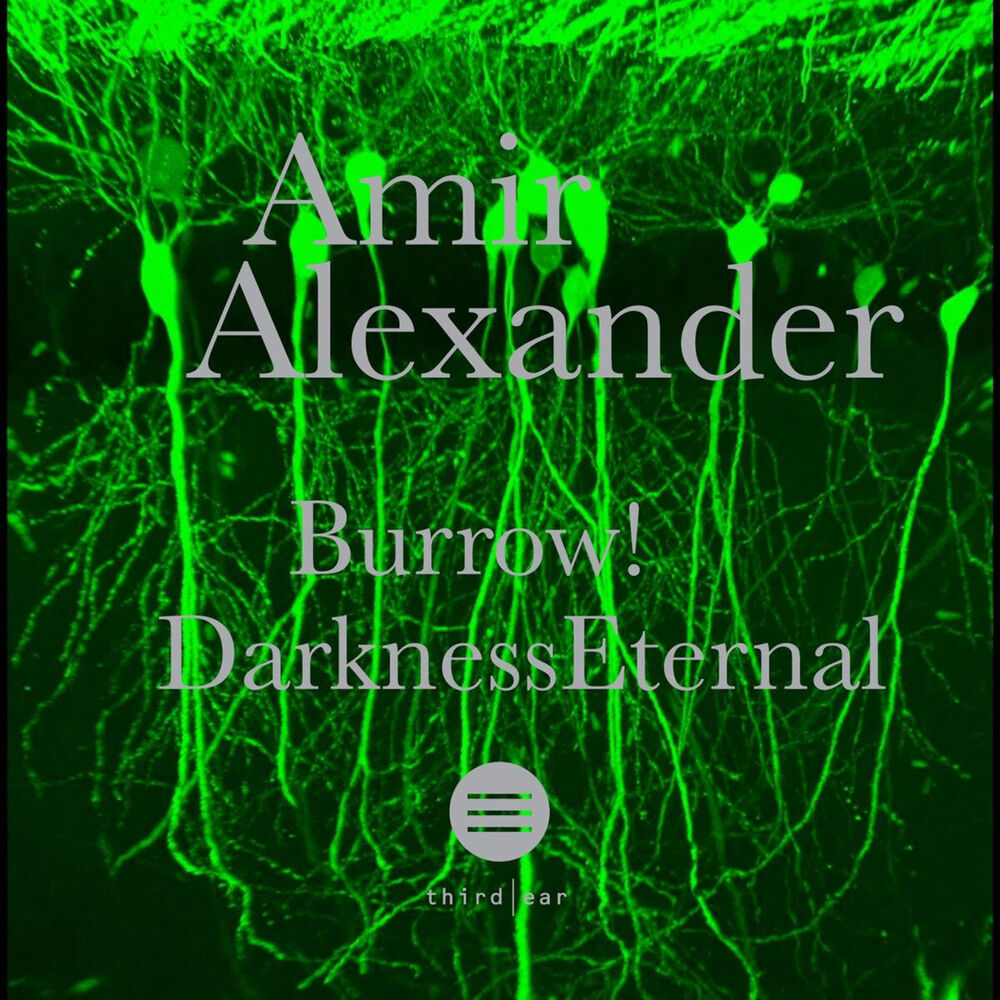 Picture of Burrow / Darkness Eternal