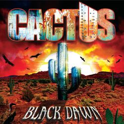 Cover of Black Dawn