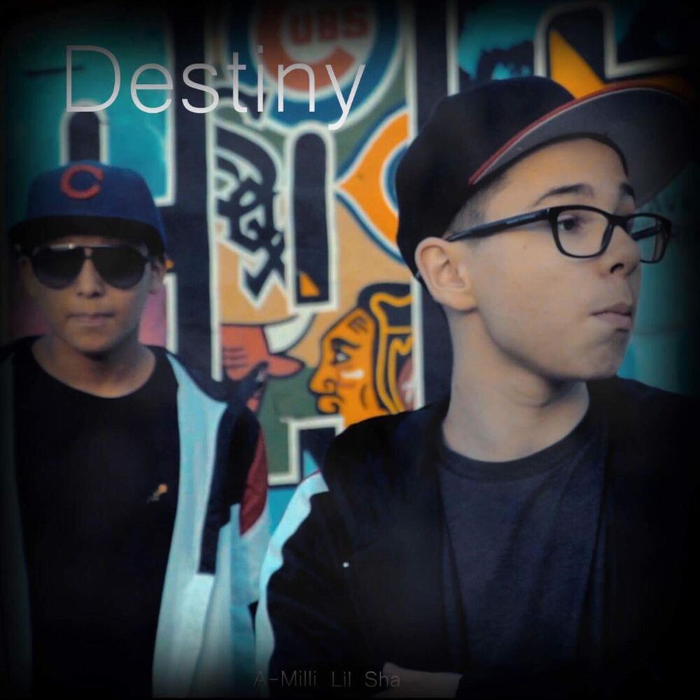 Picture of Destiny