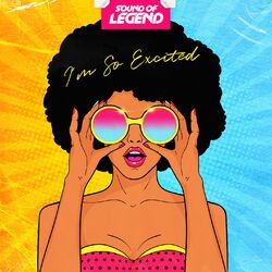 Cover of I'm So Excited