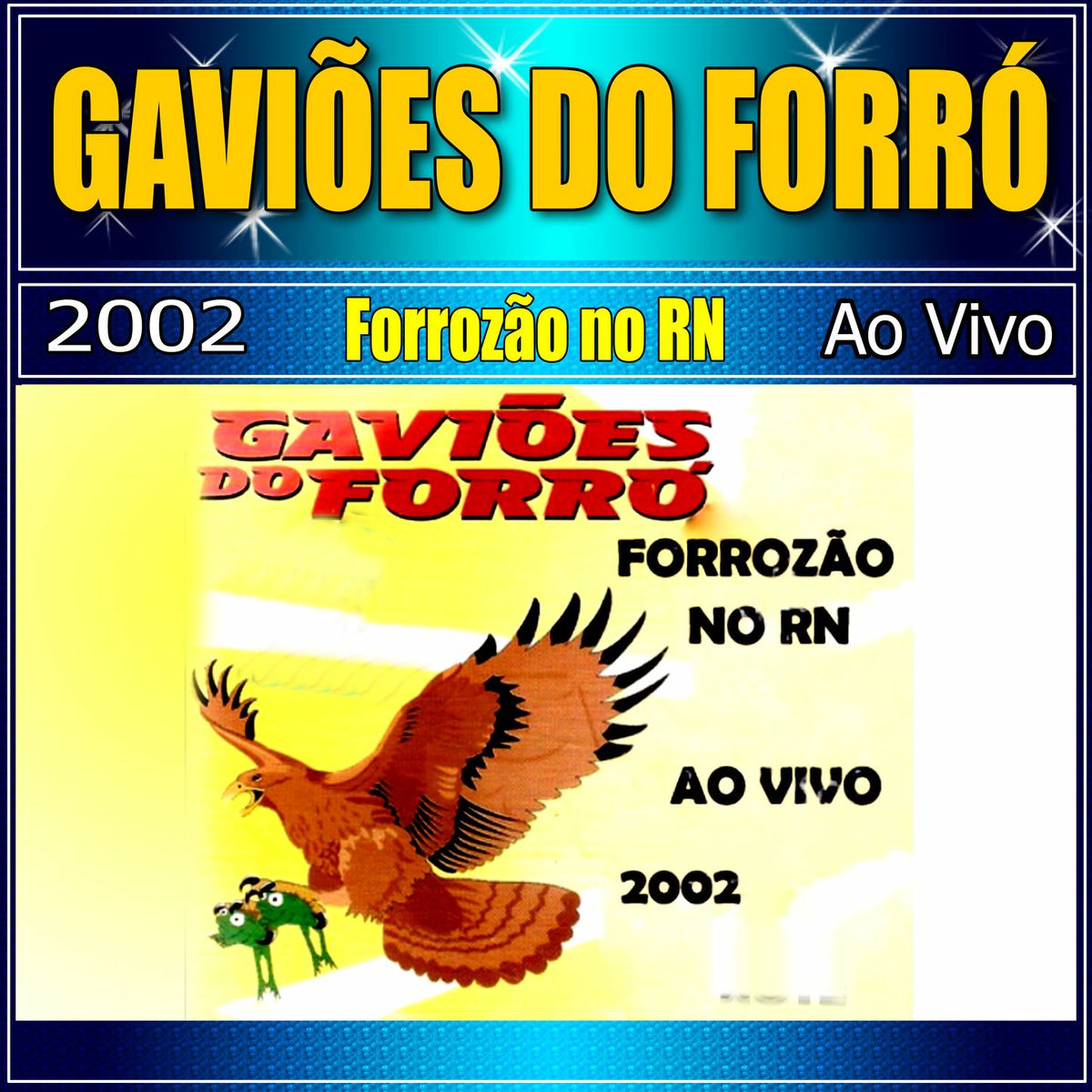 Album cover of FORROZÃO NO RN AO VIVO 2002