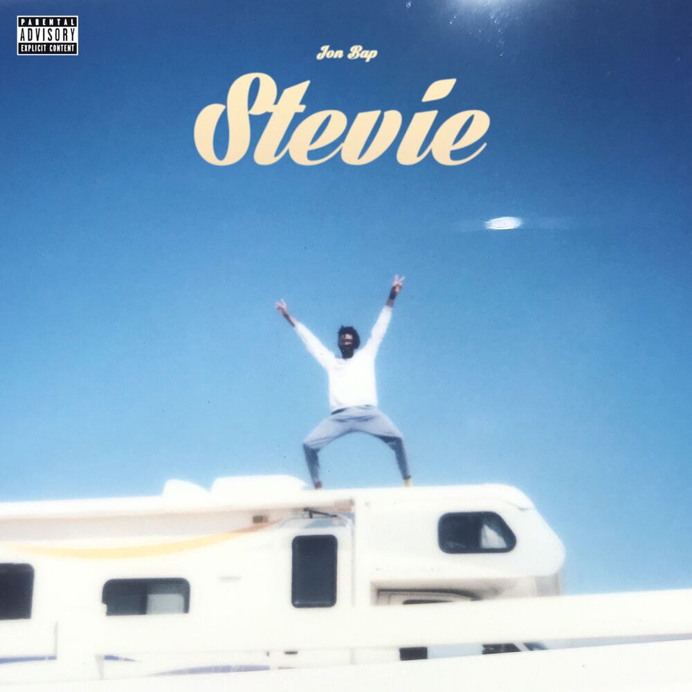 Picture of Stevie