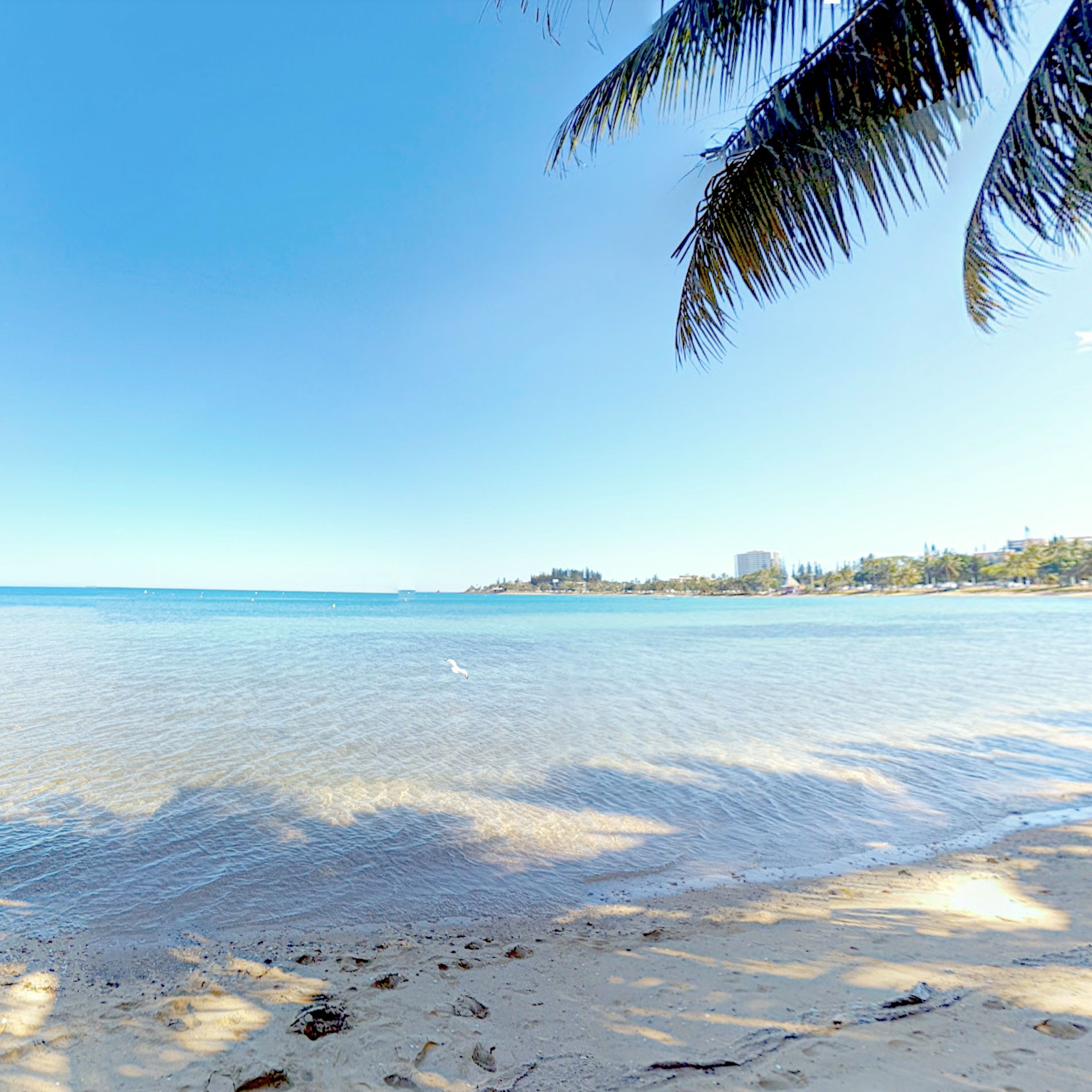 Album cover of Good Vibes