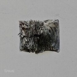 Cover of Staub 005