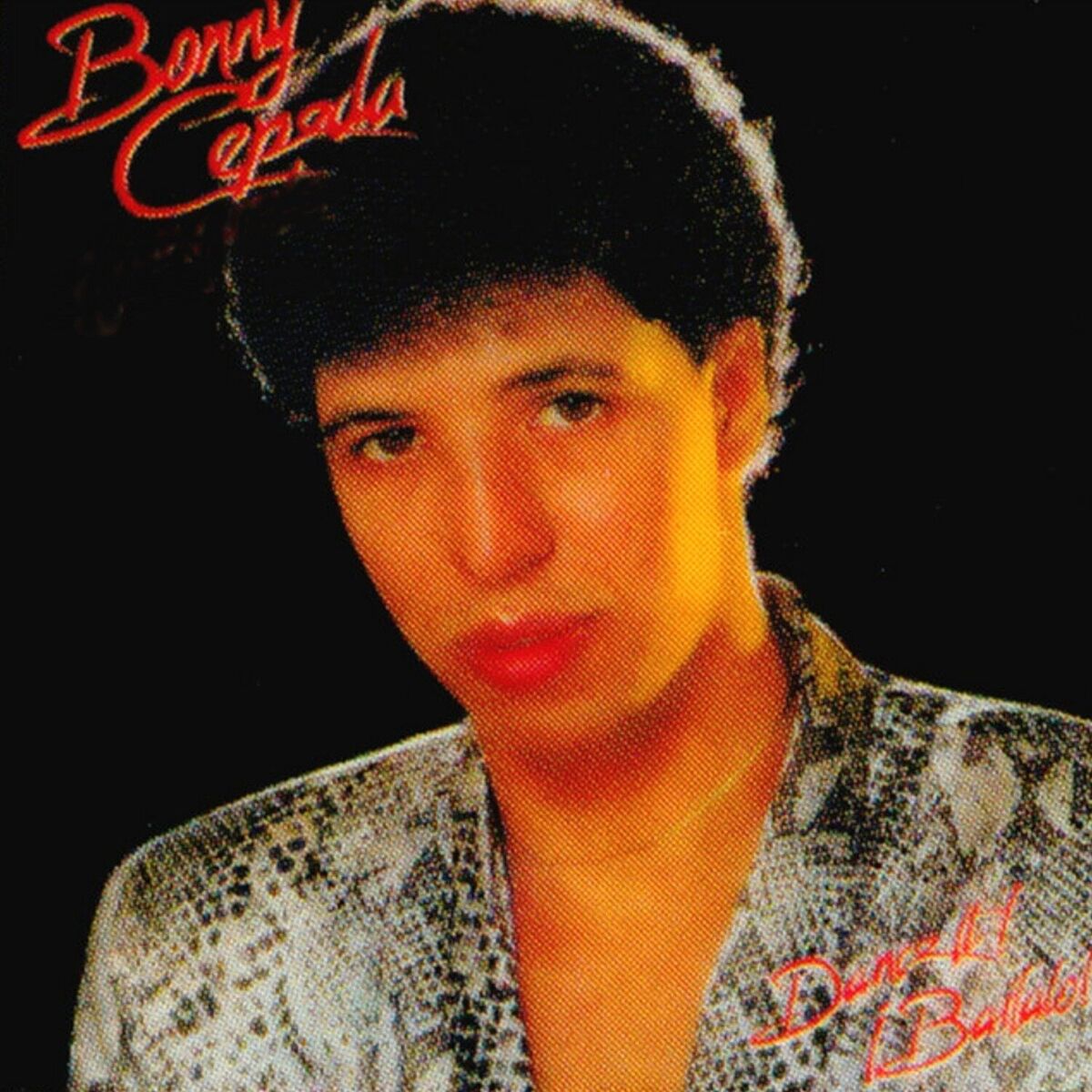 Album cover of Dance it Bailalo! - Bailalo!