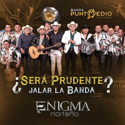 Cover of ¿Será Prudente Jalar La Banda?