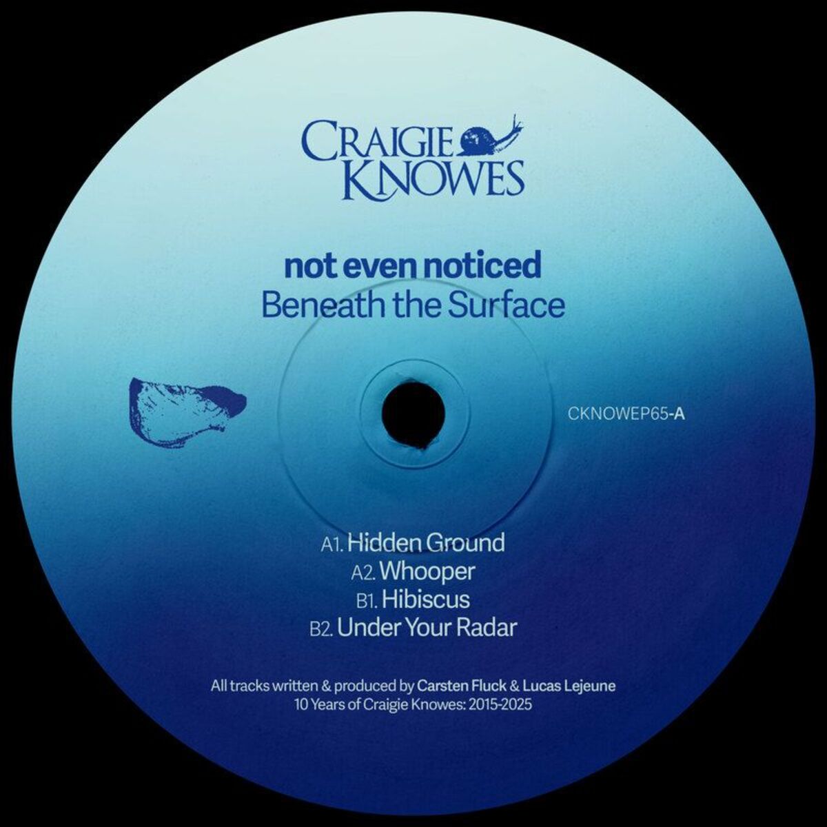 Album cover of Hidden Ground