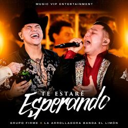 Cover of Te Estaré Esperando (En Vivo)