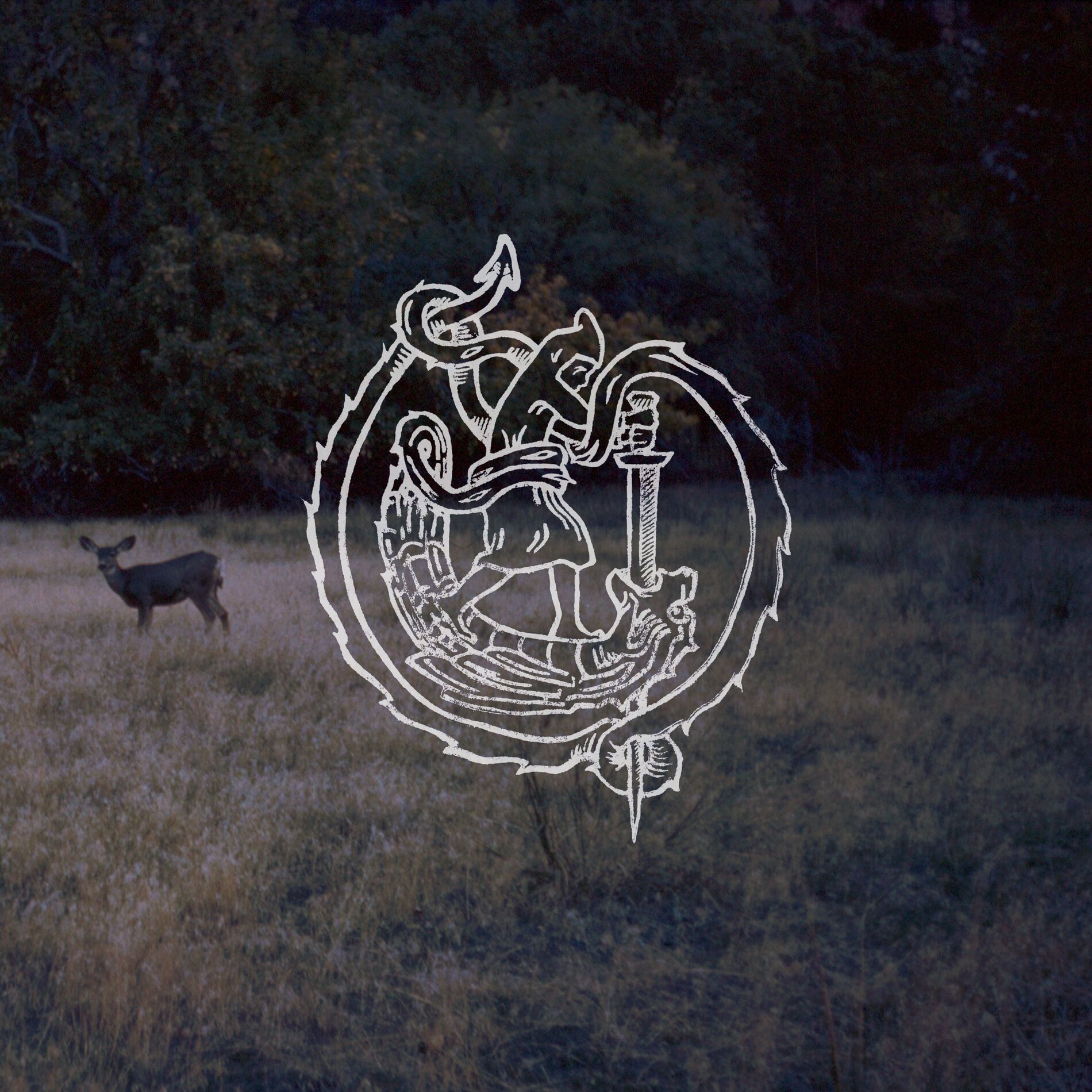 Album cover of martingale