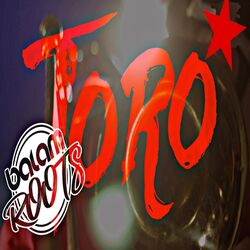 Cover of Toro