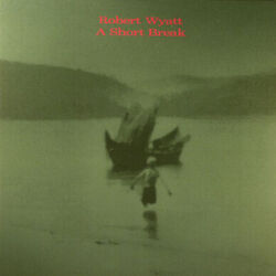 Cover of A Short Break