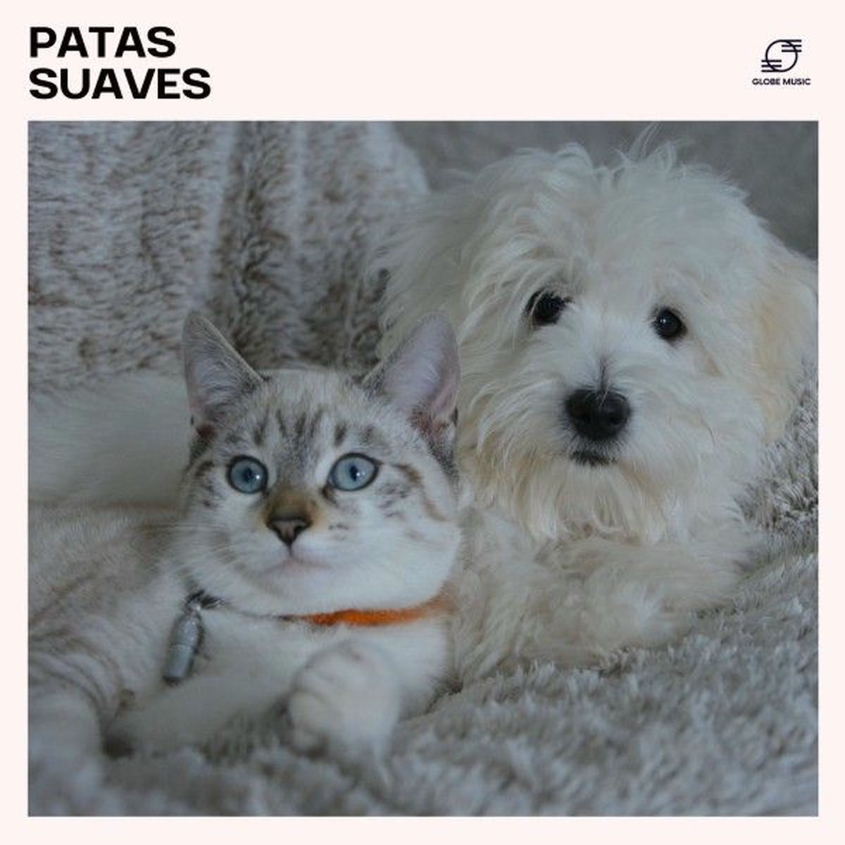 Album cover of Música de Cura Energética para Cães