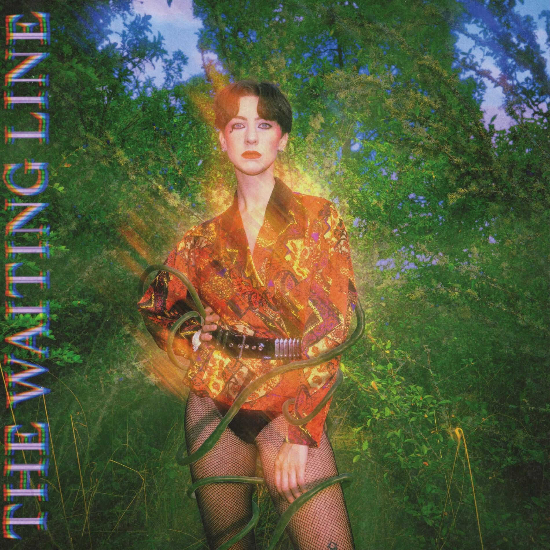 Album cover of The Waiting Line