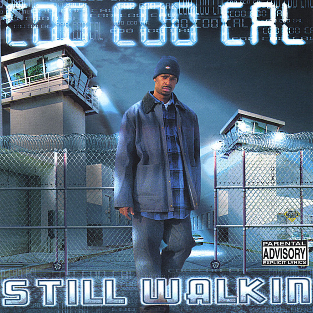 Picture of Still Walkin