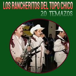 Cover of 20 Temazos