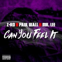 Cover of Can You Feel It