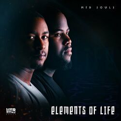 Cover of Elements Of Life