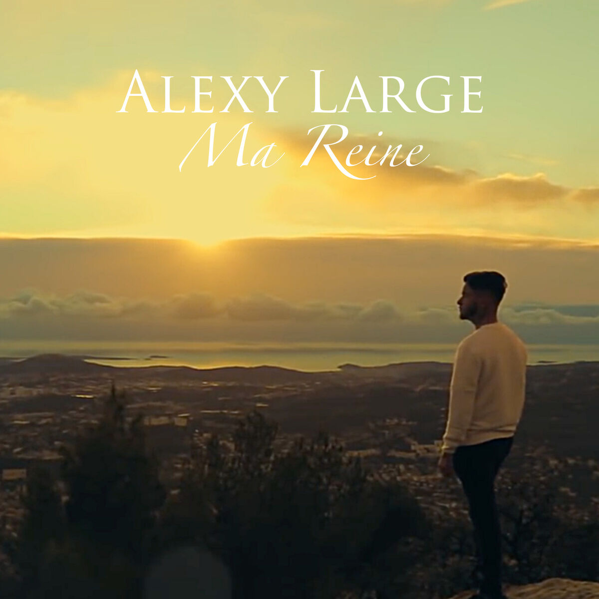 Album cover of Ma reine