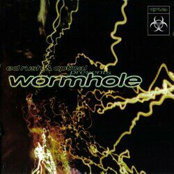 Cover of Wormhole