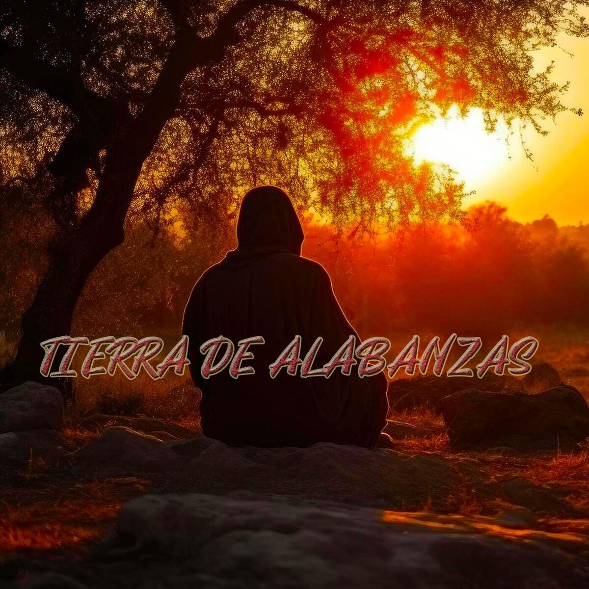 Album cover of Tierra de Alabanzas