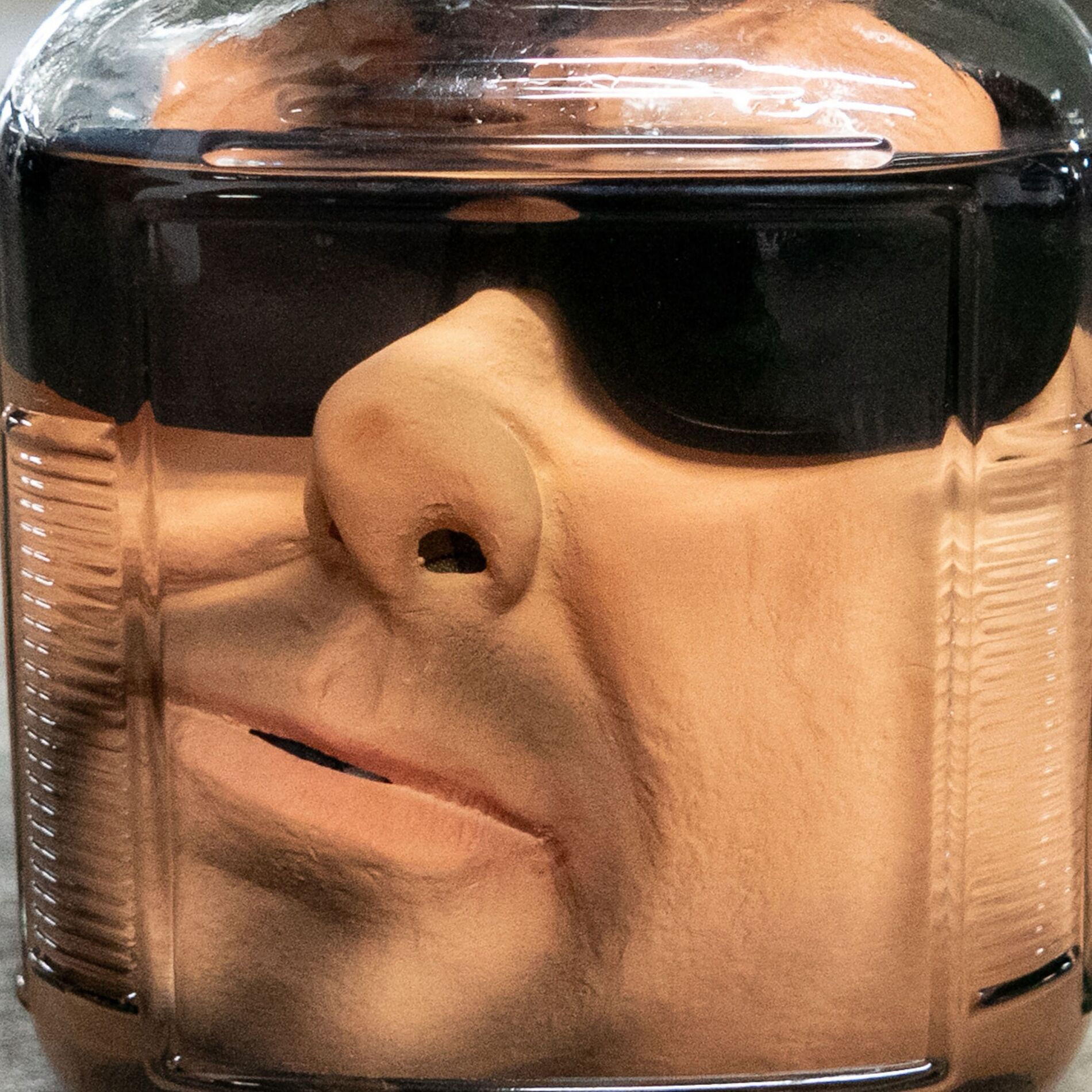 Album cover of Tomás