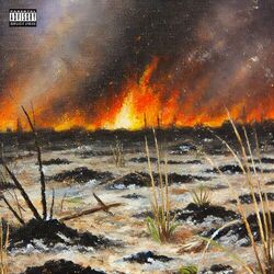 Cover of Wildfire