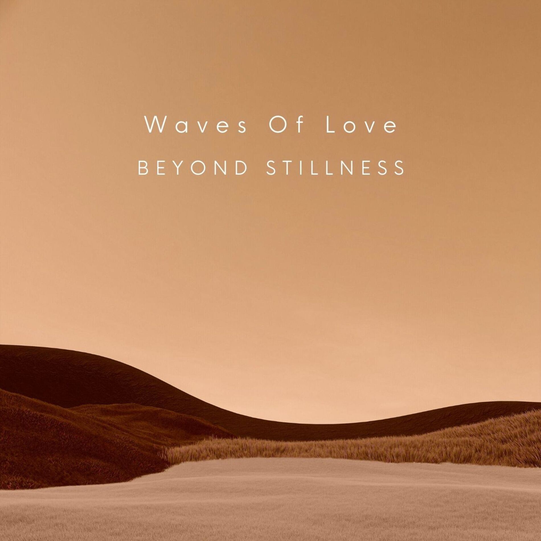 Album cover of Waves Of Love