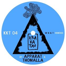 Cover of What Remixes