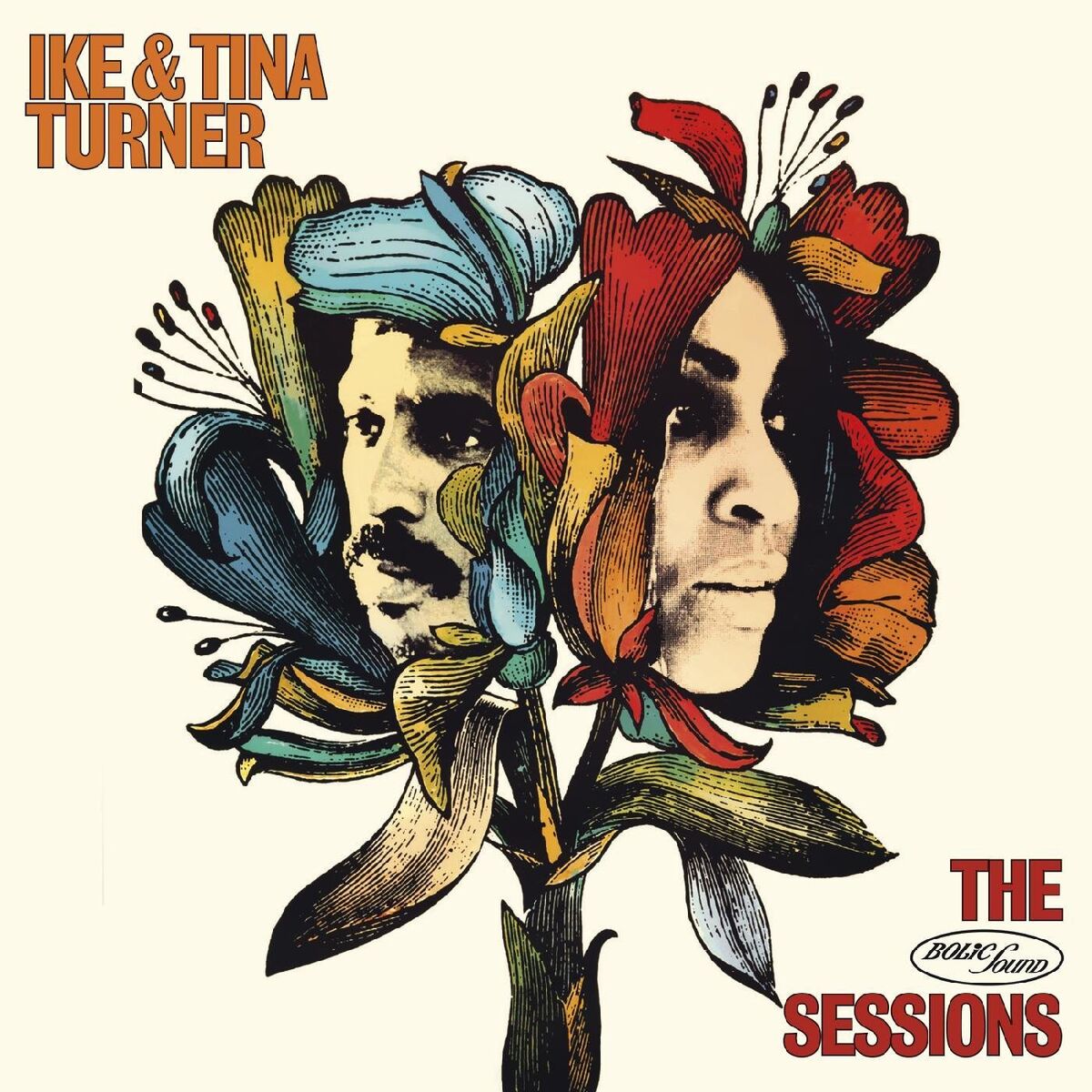 Album cover of The Bolic Sound Sessions