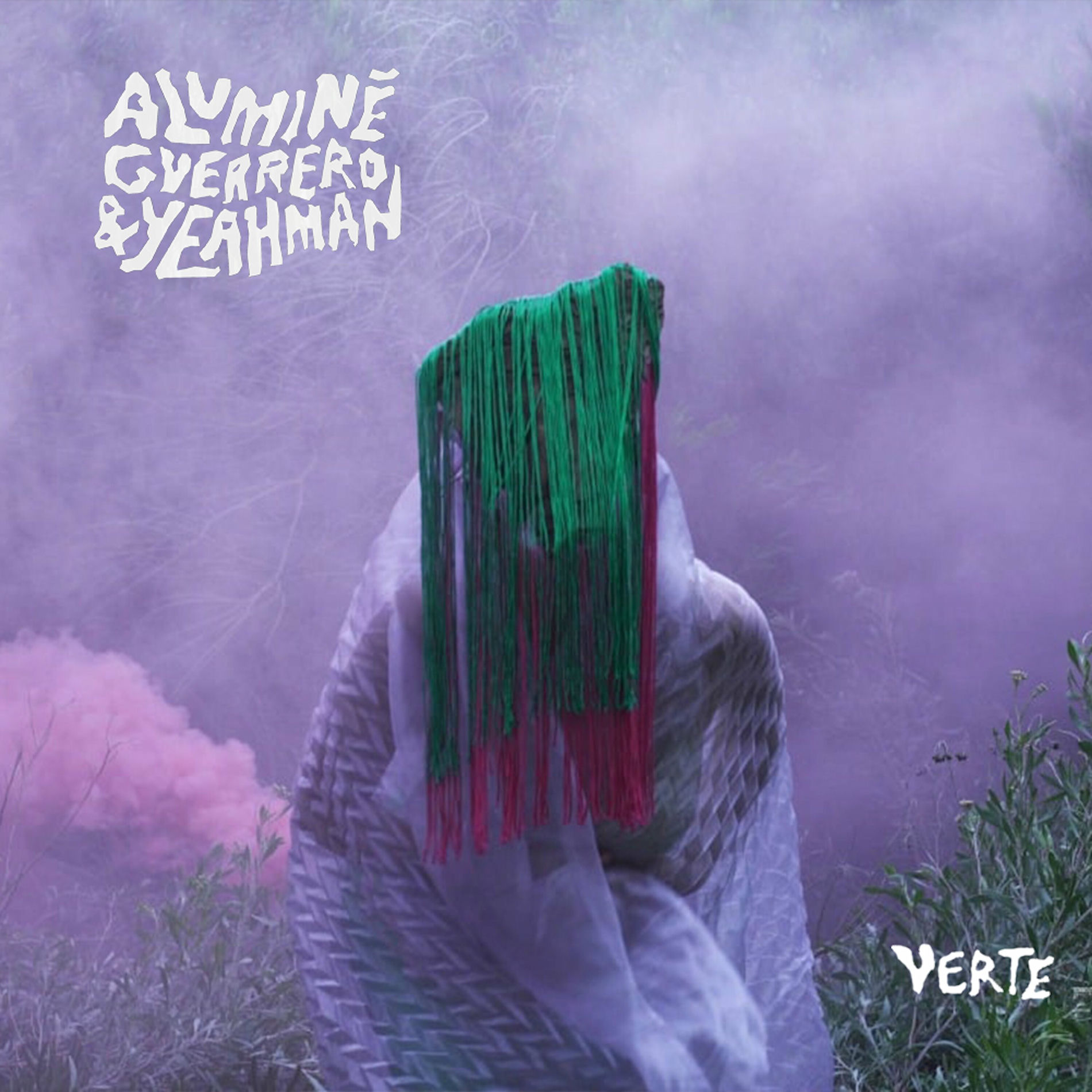 Album cover of Verte