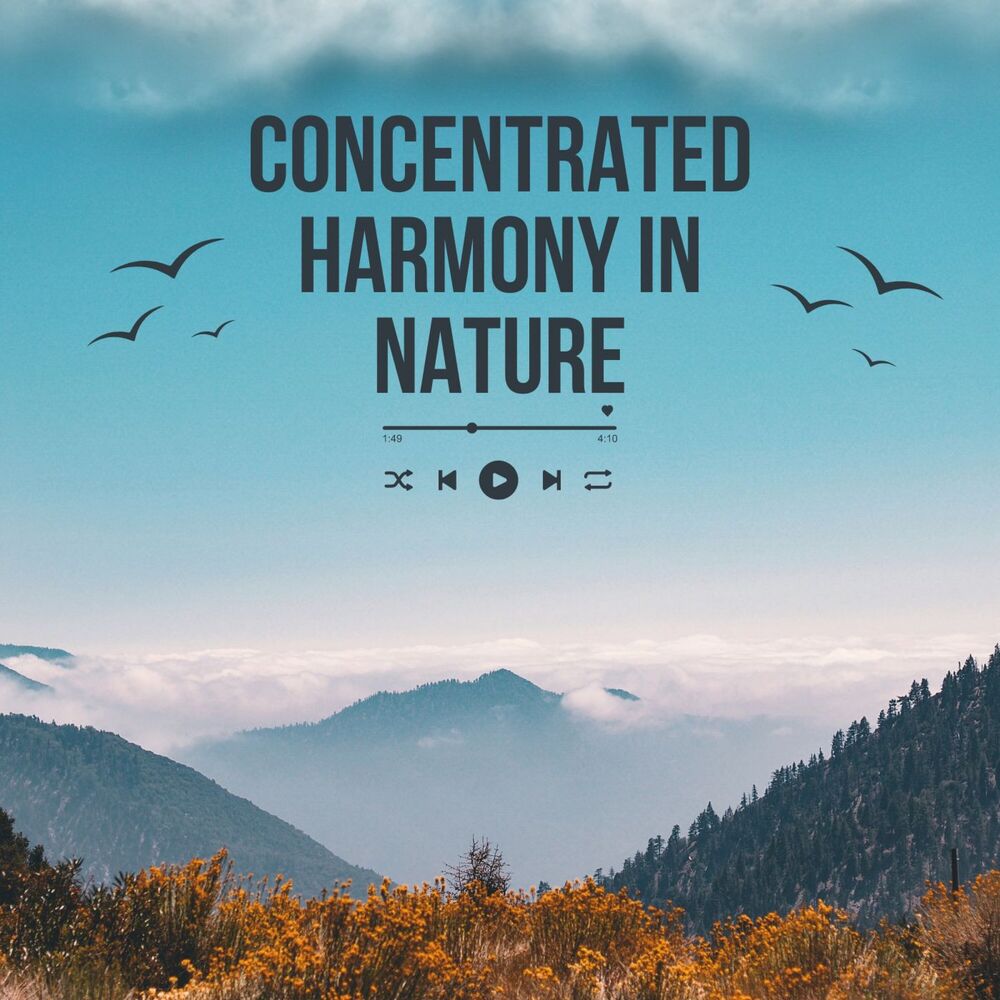 Picture of Piano Reverie: Concentrated Harmony in Nature