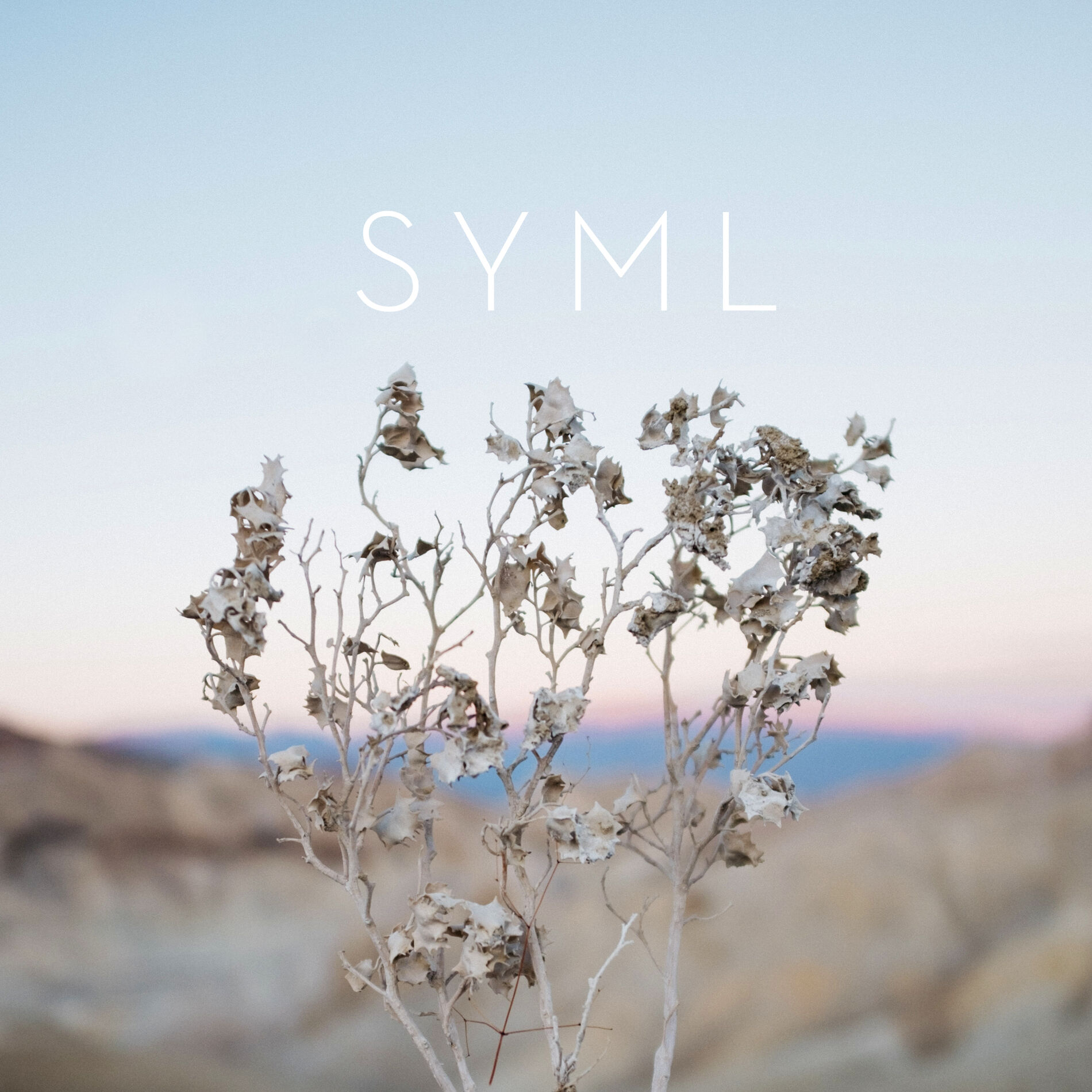 Album cover of Girl