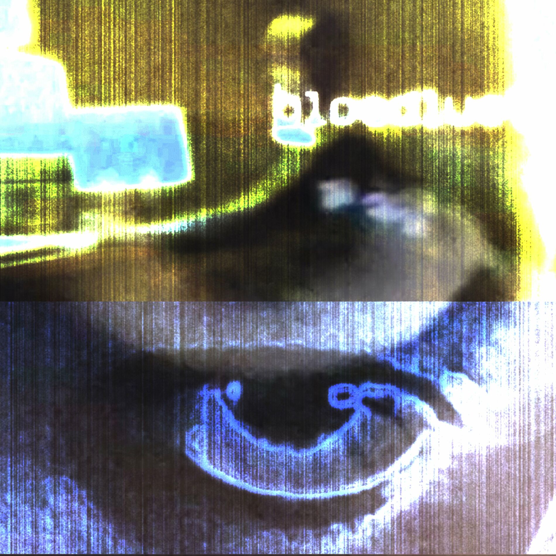Album cover of BLOODLUST