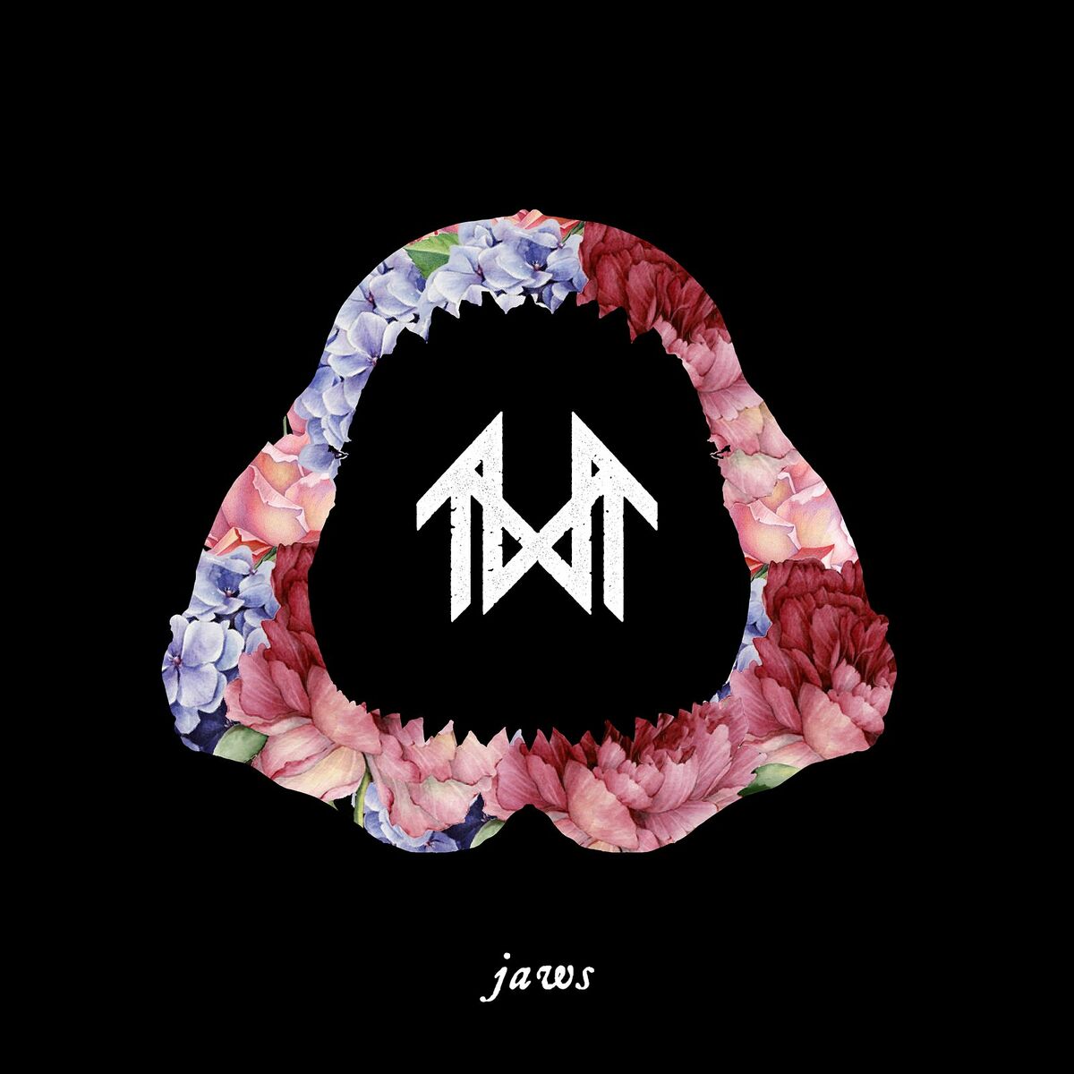 Album cover of Jaws